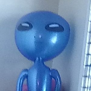 Meet your Posher, Daisy